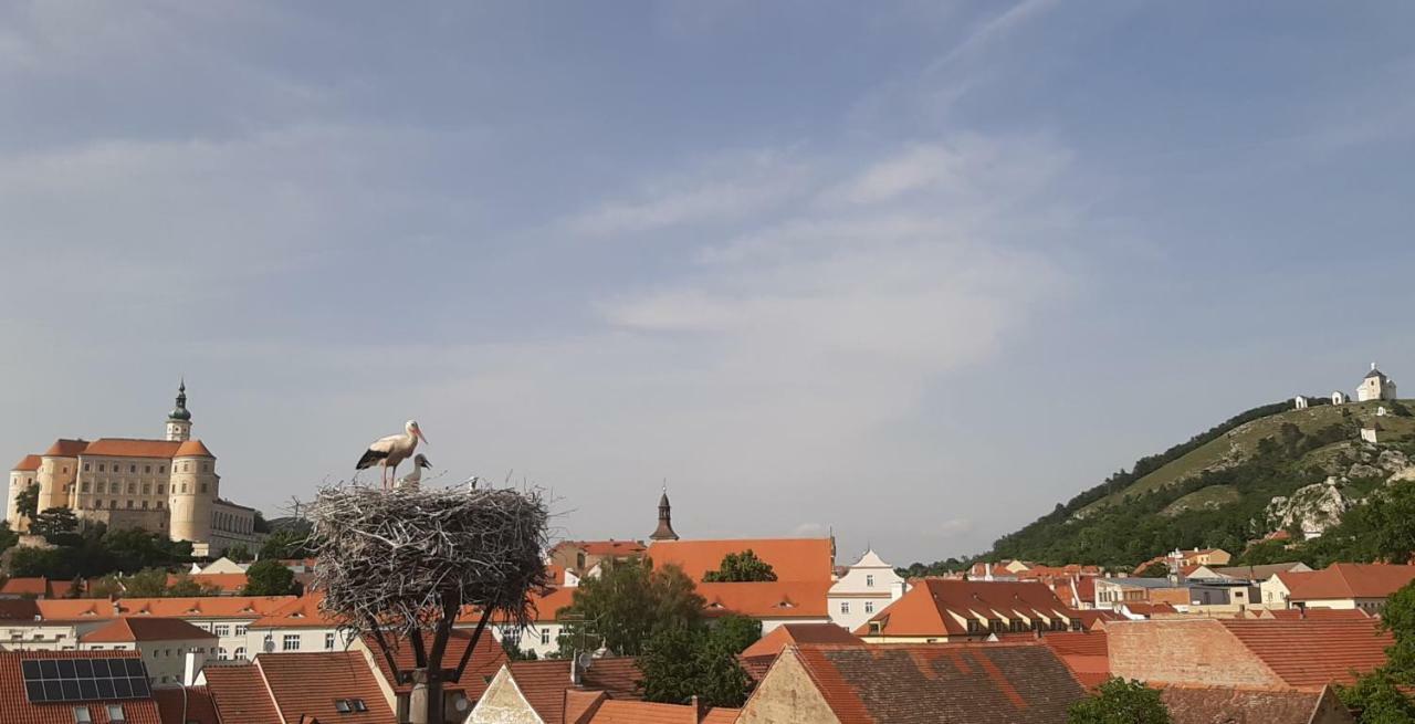 Penzion Cap Mikulov Exterior foto